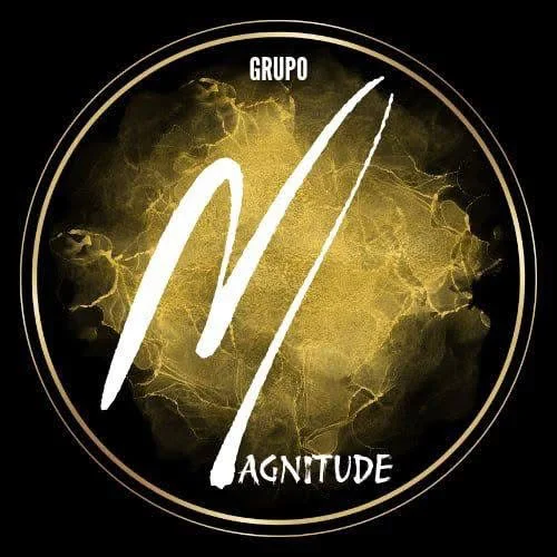Grupo Magnitude