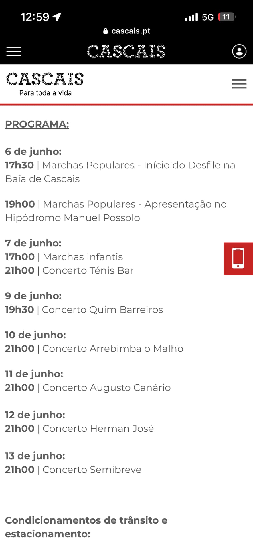 Cartaz de Arraial de Santo António