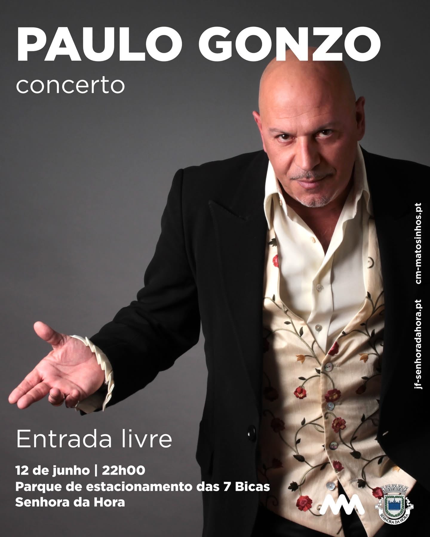 Cartaz de Concerto Paulo Gonzo