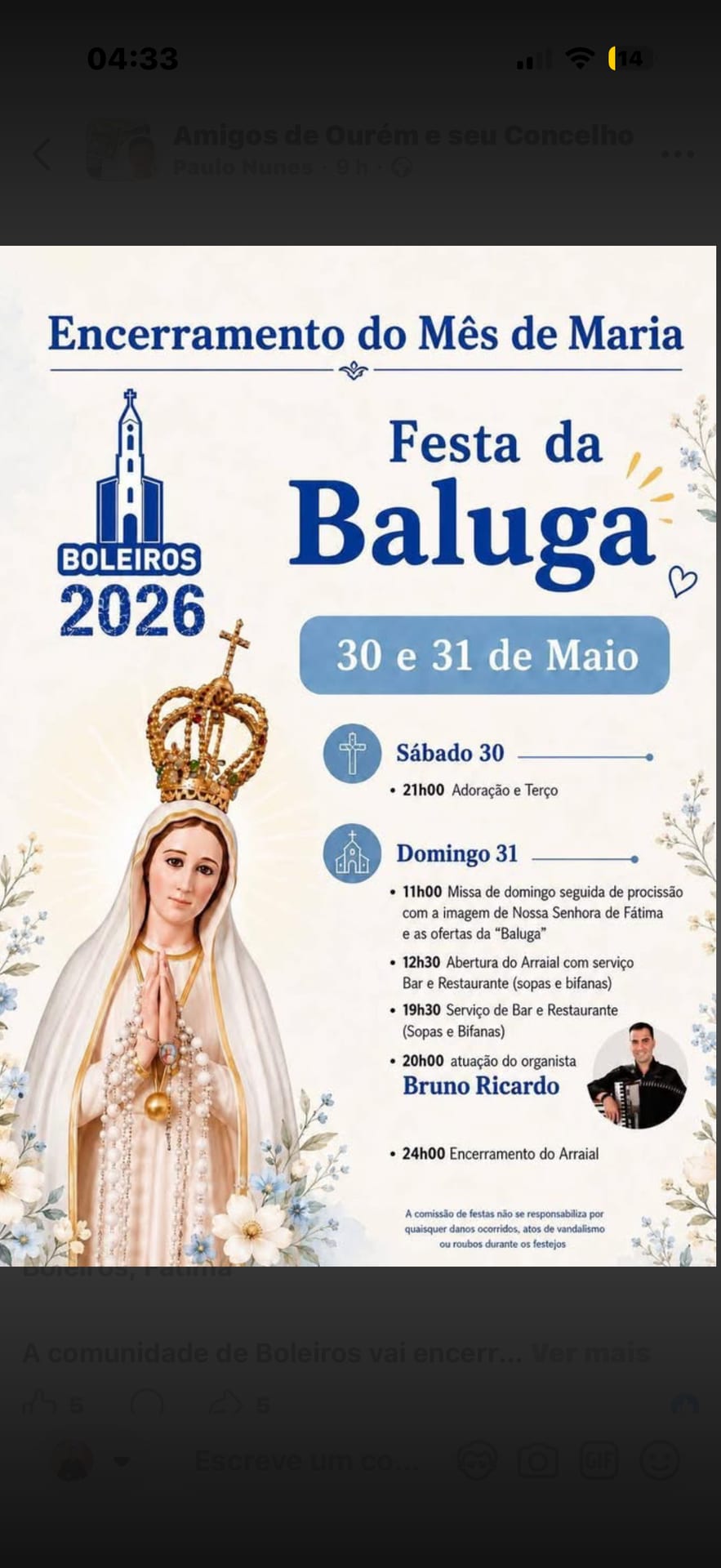 Cartaz de Festa da Baluga