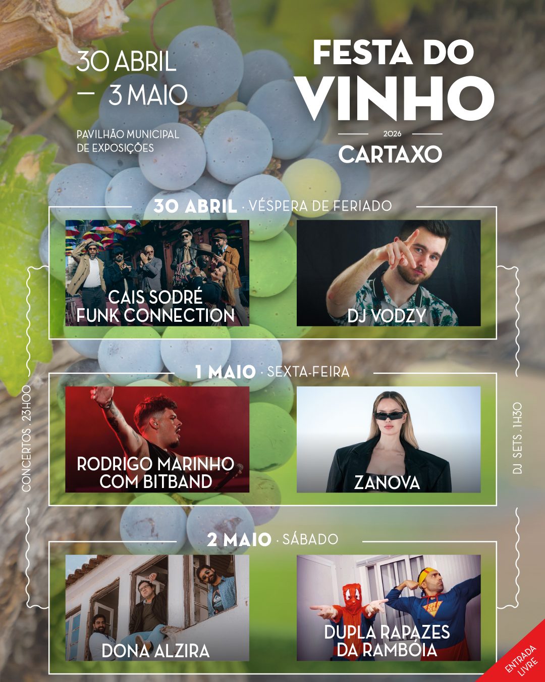 Cartaz de Festa do Vinho