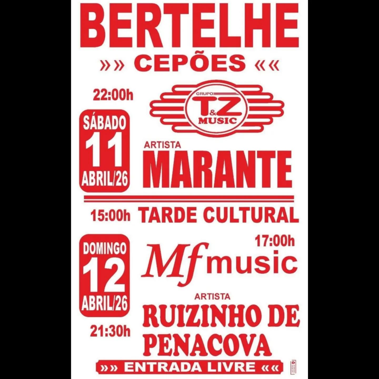 Cartaz de Festa em Bertelhe - Cepões