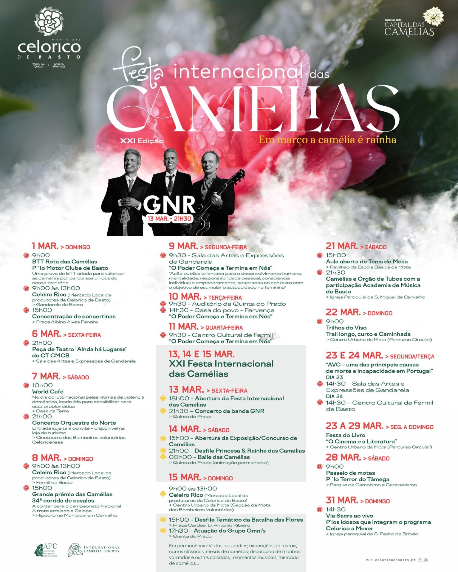 Cartaz de XXI Festa Internacional das Camélias